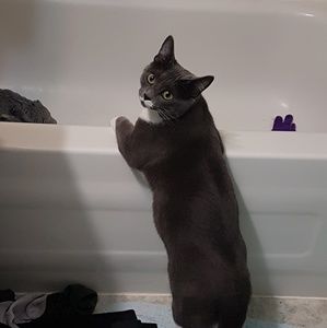 Meet your Posher, Jesse